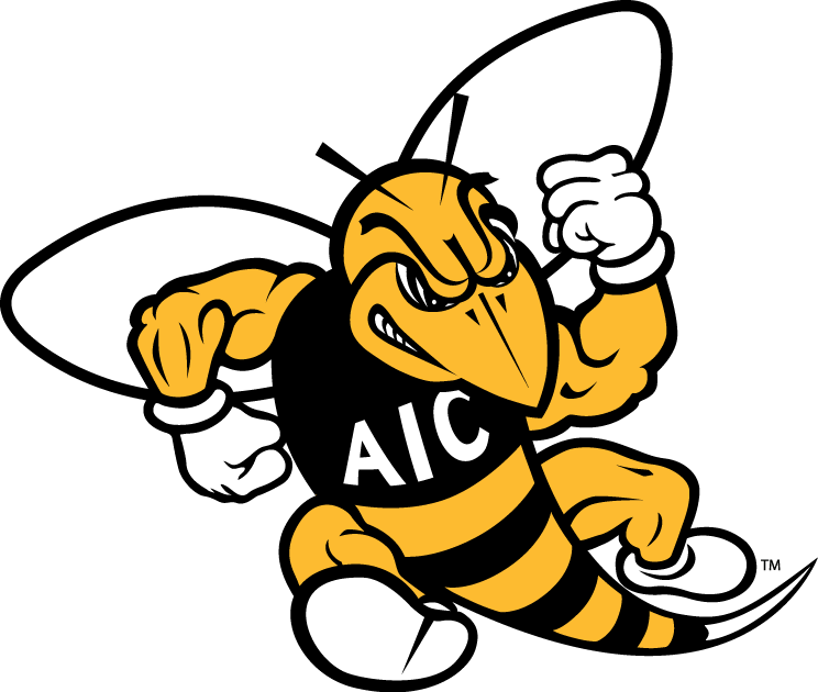 AIC Yellow Jackets logos iron-ons